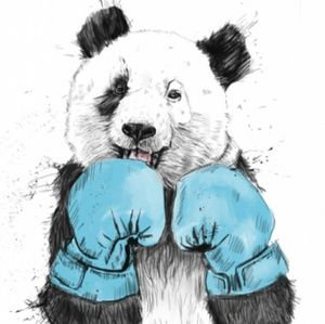 Meet your Posher, Steve